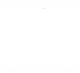 white logo 1